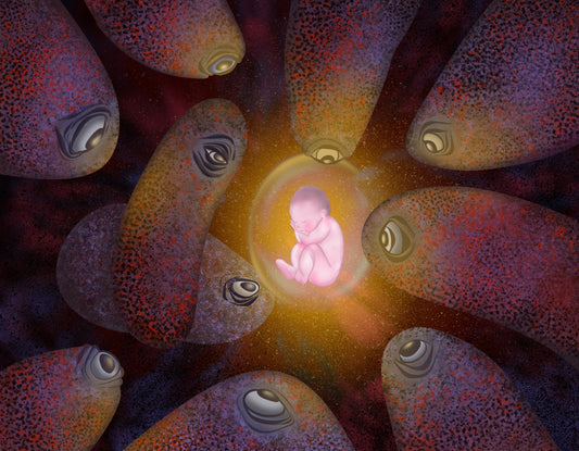 The Witnessed Birth